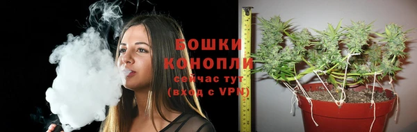 мяу мяу мука Нея