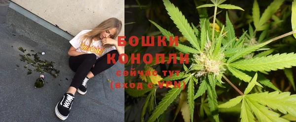 шишки Нефтекумск