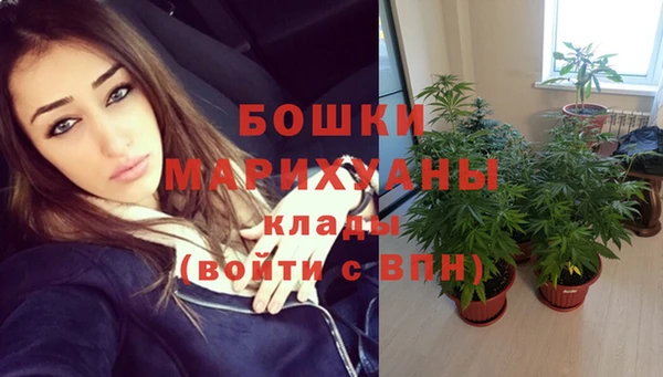шишки Нефтекумск