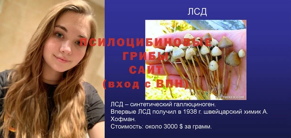 шишки Нефтекумск
