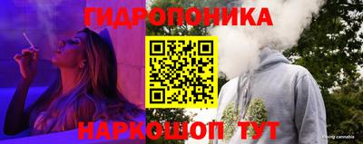 сатива Кинель