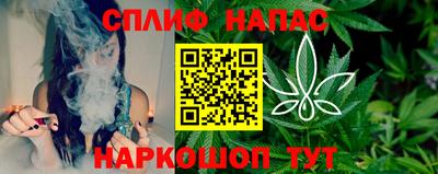 сатива Кинель