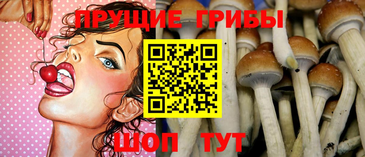 Псилоцибиновые грибы мухоморы  Семилуки  Псилоцибиновые грибы Cubensis 