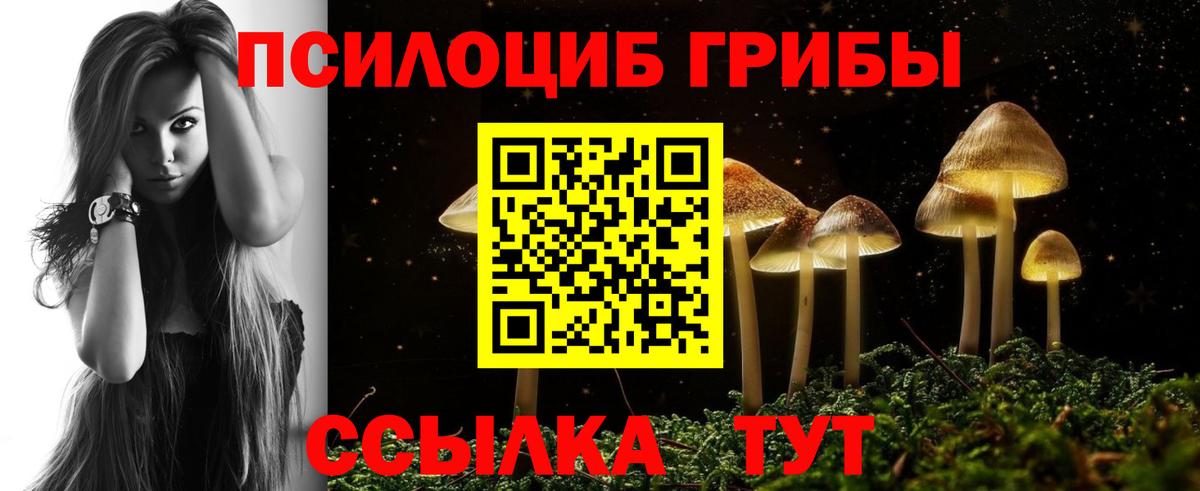 Галлюциногенные грибы мицелий Семилуки