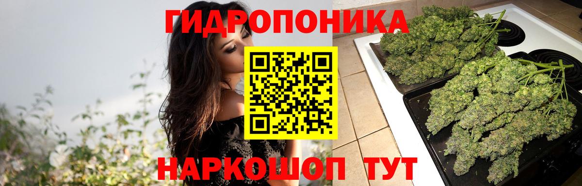 Семилуки  Шишки марихуана тримм  Бошки марихуана тримм  Вход с VPN 